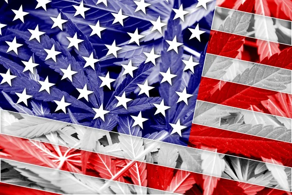 Bandiera USA su sfondo cannabis. Politica sulle droghe. Legalizzazione della marijuana — Foto Stock