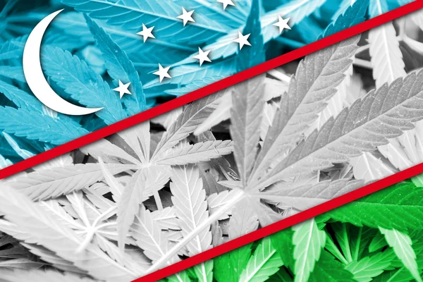 Ouzbékistan Drapeau sur fond de cannabis. Politique sur les drogues. Légalisation de la marijuana — Photo