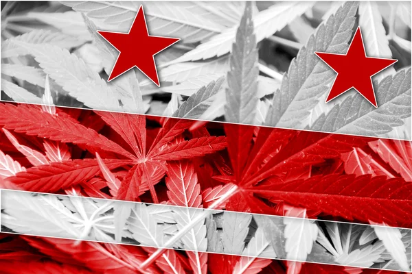 Washington DC Bandiera su sfondo cannabis. Politica sulle droghe. Legalizzazione della marijuana — Foto Stock