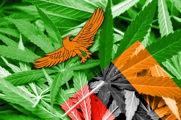 Sambia Flagge auf Cannabis Hintergrund. Drogenpolitik. Legalisierung von Marihuana — Stockfoto