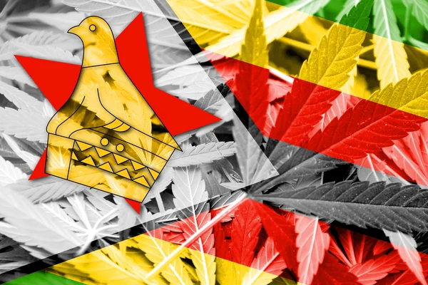 Bandeira do Zimbabué sobre fundo de cannabis. Política de drogas. Legalização da maconha — Fotografia de Stock