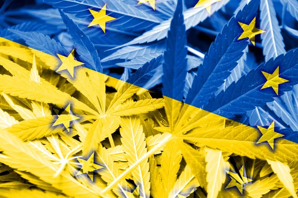 Oekraïne en Eu-vlag op cannabis achtergrond. Beleid van de drug. Legalisatie van marihuana — Stockfoto