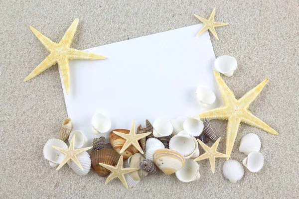 Empty white card with starfishes and seashells on the beach — Stock Photo, Image