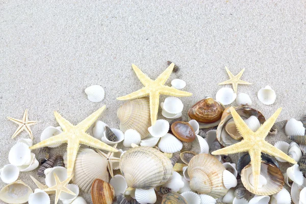 Starfishes and seashells on the beach — Stock Photo, Image