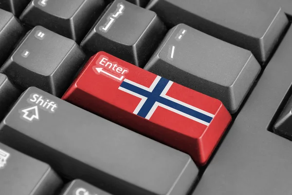 Introduzca el botón con bandera de Noruega — Foto de Stock