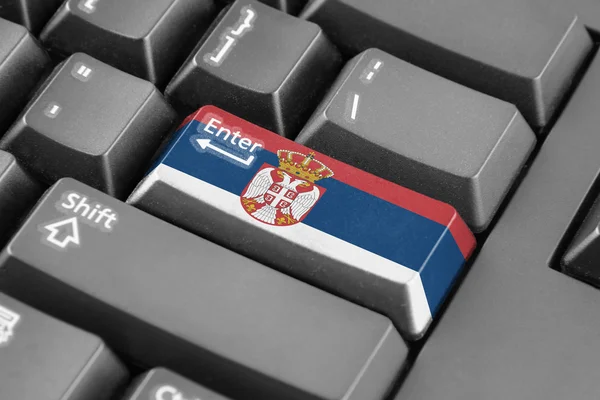 セルビアの国旗のボタンを入力します。 — ストック写真