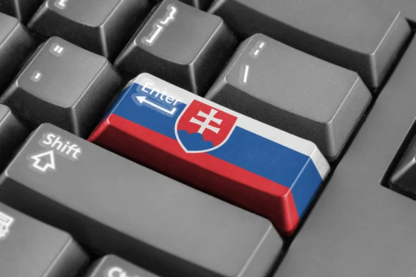 スロバキアの旗のボタンを入力します。 — ストック写真