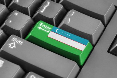 Düğme Özbekistan bayrağı ile girin