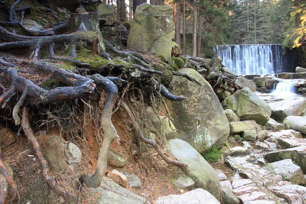 Wild waterfall in the Polish mountains. River with cascades — Stock Photo, Image