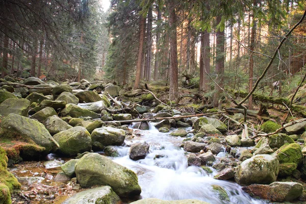 Дикі водоспад у польських горах. Річка з каскадів — стокове фото