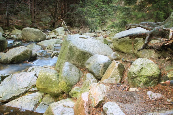A folyó a lengyel erdőben. Hegyi sziklák borított moha — Stock Fotó