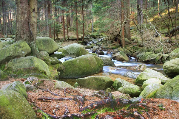 ポーランドの森の川。山の岩は苔で覆われて — ストック写真