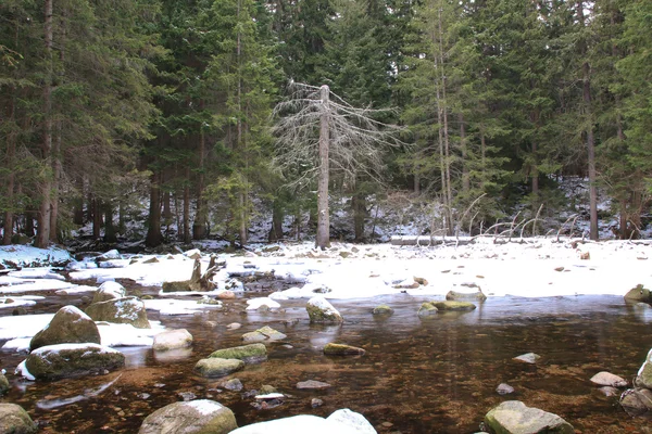 Zimowe rzeki w polskim lesie. Skały góry pokryte śniegiem — Zdjęcie stockowe