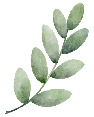 Yeşil Yaprak Şubesinin Suluboya Fotoğrafı