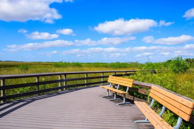 Everglades 'te banklar ve bir kaldırım
