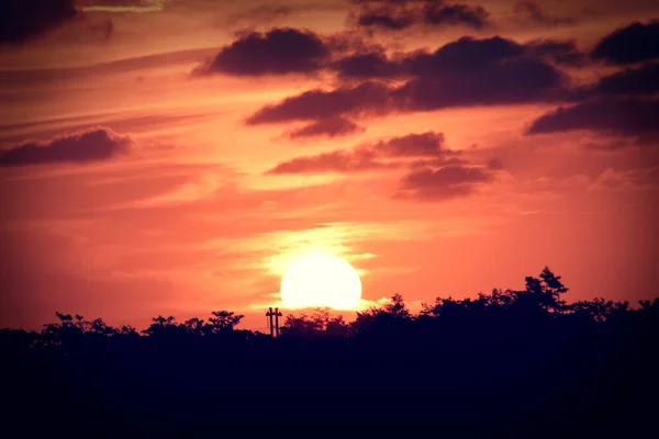 Rosa Laranja Nascer Sol Sobre Pântano Sul Flórida — Fotografia de Stock