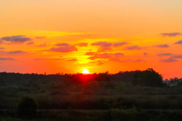 Рожевий Помаранчевий Схід Сонця Над Болотом Південній Флориді — стокове фото