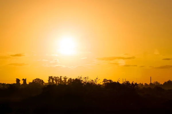 Pink and orange sunrise over the swamp in South Florida.