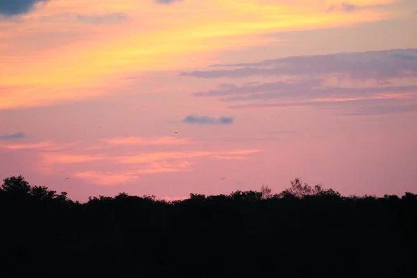 Rosa Und Orangefarbener Sonnenaufgang Über Dem Sumpf Südflorida — Stockfoto