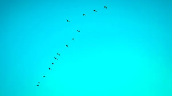날개달린 실루엣 가여름 하늘을 — 스톡 사진