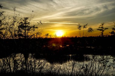 Florida bataklıklarında gün batımının yansımaları