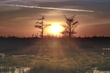 Florida bataklıklarında gün batımının yansımaları