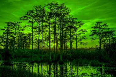 Florida bataklıklarında gün batımının yansımaları