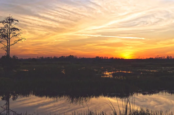 Paisaje Atardecer Pantanoso Los Humedales — Foto de Stock