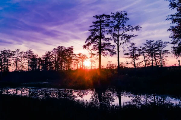 Reflecties Van Een Zonsondergang Florida Moerassen — Stockfoto