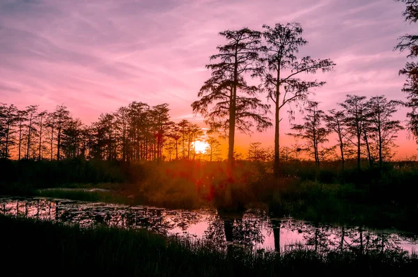 Reflejos Una Puesta Sol Los Pantanos Florida — Foto de Stock