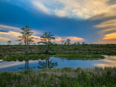 Bataklıkta güneş batıyor.