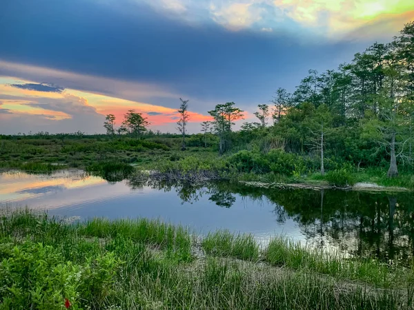 夕阳西下在河口的沼泽地里 — 图库照片