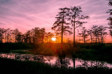 Florida bataklıklarında gün batımının yansımaları