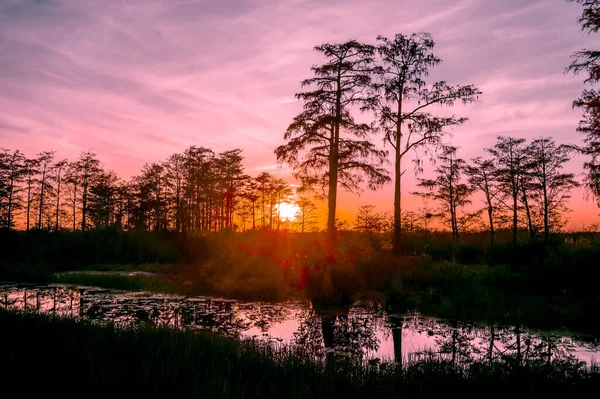 Florida bataklıklarında gün batımının yansımaları