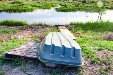 Nehir kıyısında kürek çekenler