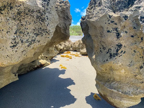 Rocce Sulla Spiaggia Blowing Rock Preserve Giove Florida — Foto Stock