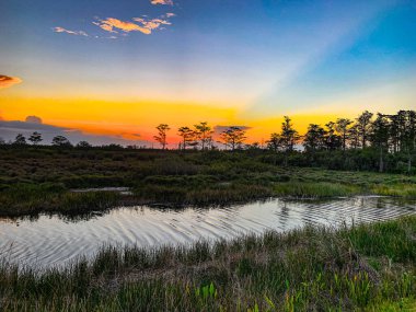 Louisiana 'da renkli bataklık günbatımı Amerikan değerlerini yansıtıyor.