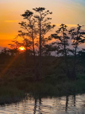 Louisiana 'da renkli bataklık günbatımı Amerikan değerlerini yansıtıyor.