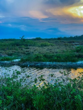 Louisiana 'da renkli bataklık günbatımı Amerikan değerlerini yansıtıyor.