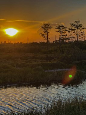 Louisiana 'da renkli bataklık günbatımı Amerikan değerlerini yansıtıyor.