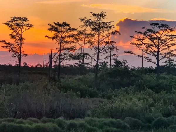 アメリカの価値観を反映してルイジアナ州のカラフルな沼の夕日 — ストック写真