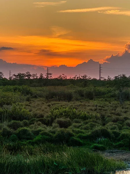 路易斯安那州多彩的沼泽落日 反映了美国人的价值观 — 图库照片