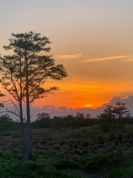 Bunte Sumpfsonnenuntergänge Louisiana Reflektieren Amerikanische Werte — Stockfoto