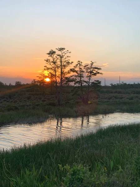 Colorful swamp sunset in Louisiana reflecting on American values.