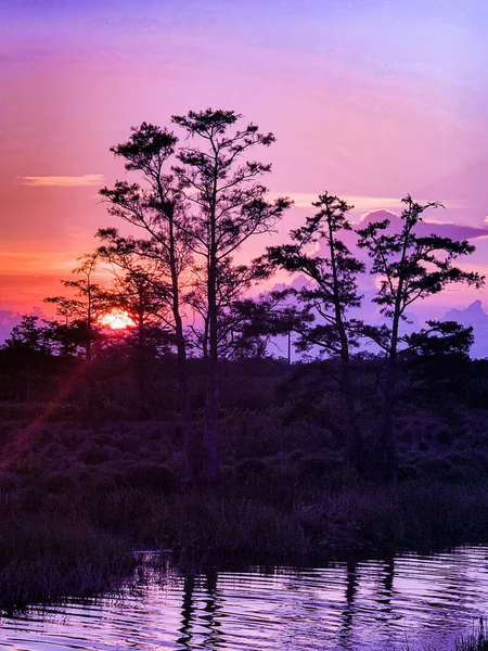 Colorful swamp sunset in Louisiana reflecting on American values.