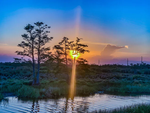 路易斯安那州多彩的沼泽落日 反映了美国人的价值观 — 图库照片