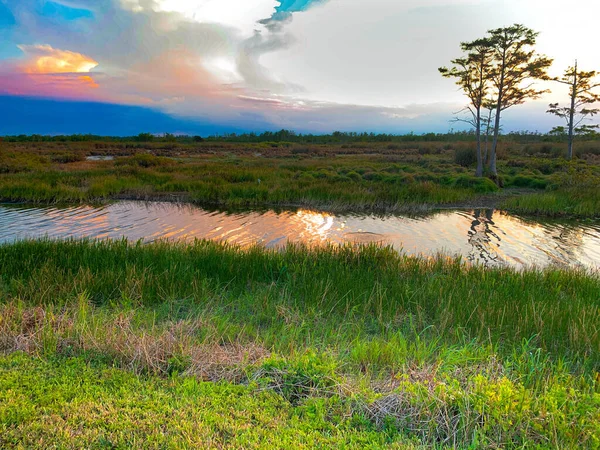 Färgglada Träsk Solnedgång Louisiana Reflektera Över Amerikanska Värden — Stockfoto