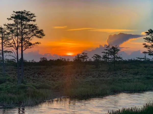 アメリカの価値観を反映してルイジアナ州のカラフルな沼の夕日 — ストック写真