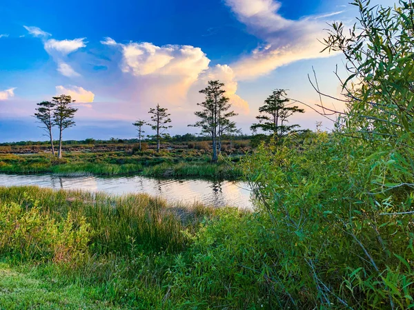 Färgglada Träsk Solnedgång Louisiana Reflektera Över Amerikanska Värden — Stockfoto