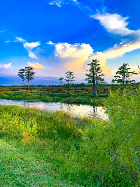 Coucher Soleil Coloré Marécageux Louisiane Reflétant Les Valeurs Américaines — Photo